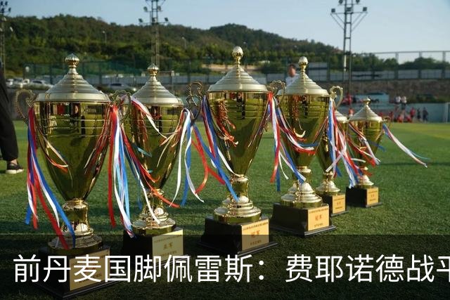 前丹麦国脚佩雷斯：费耶诺德战平埃因霍温看似热闹但质量不高