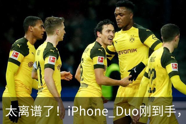 太离谱了！iPhone Duo刚到手，就突然翻车