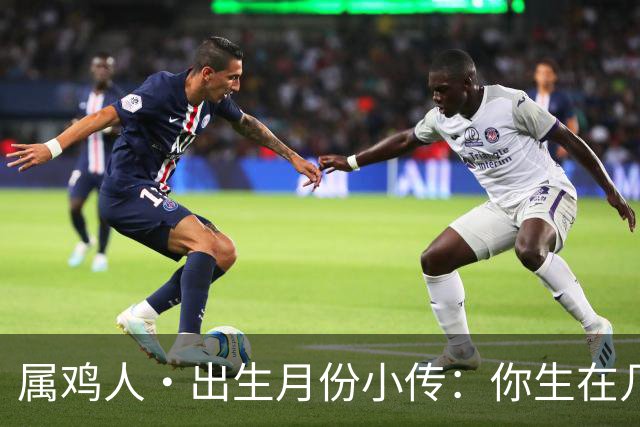 属鸡人·出生月份小传：你生在几月，就藏着你那身不肯乱的羽毛