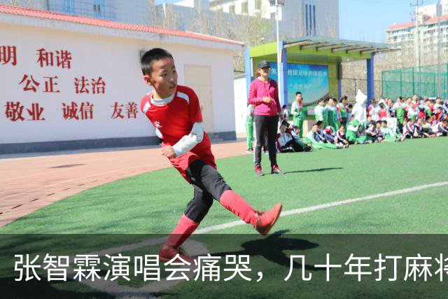 张智霖演唱会痛哭，几十年打麻将好友离世，袁咏仪台下红着眼哽咽