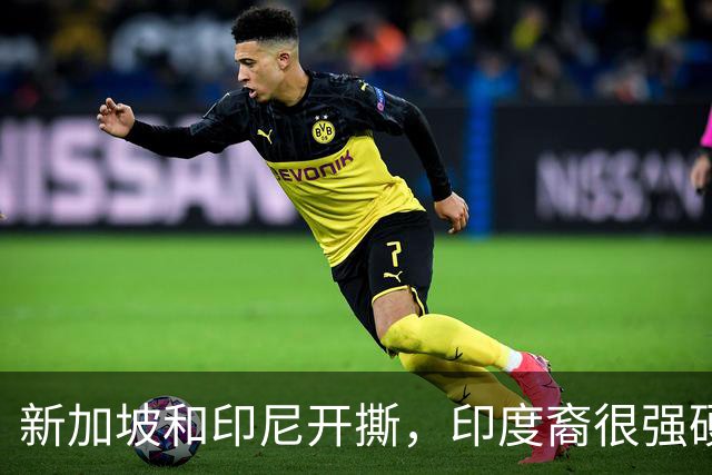 新加坡和印尼开撕，印度裔很强硬！