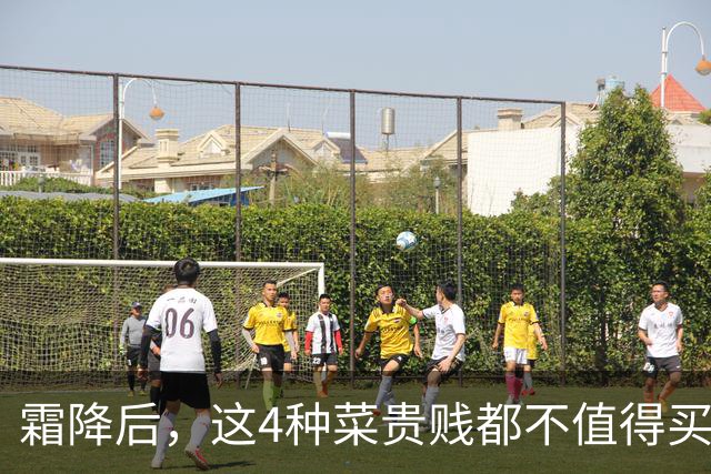 霜降后，这4种菜贵贱都不值得买了，过季没营养还难吃，菜贩自己都不吃