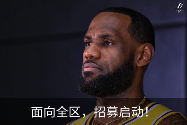 面向全区，招募启动！